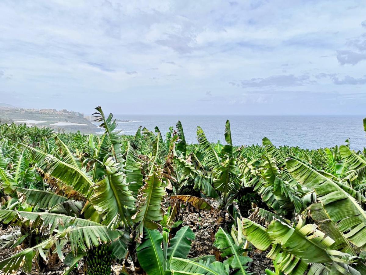 Banana Paradise 拉奥罗塔瓦 外观 照片
